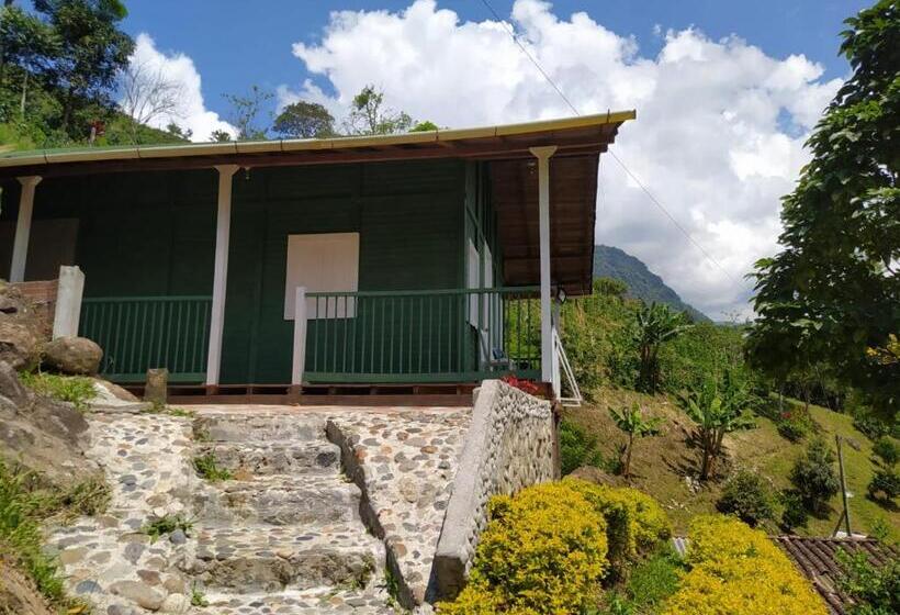 小室, Orillas Del Pizano