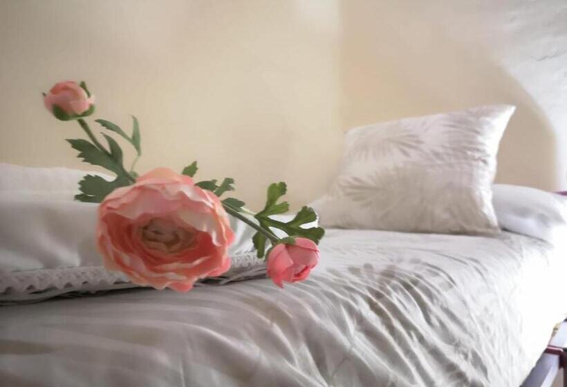 اتاق استاندارد با سرویس بهداشتی مشترک, Santa Isabel Low Cost Rooms In Private House