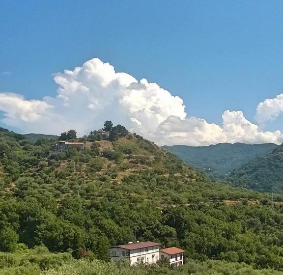 اتاق استاندارد, Michelangelo S House