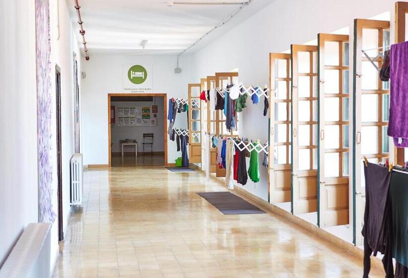 共用房间的床, Albergue Seminario Menor   Hostel