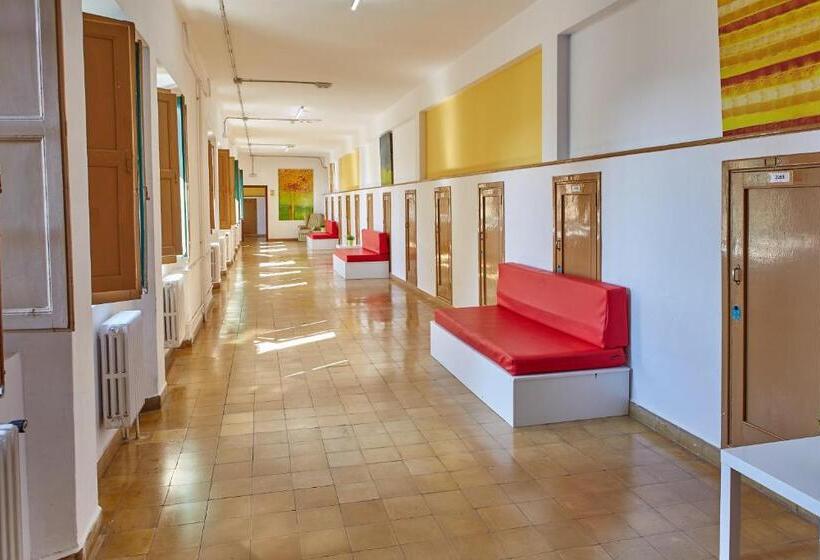 共用房间的床, Albergue Seminario Menor   Hostel