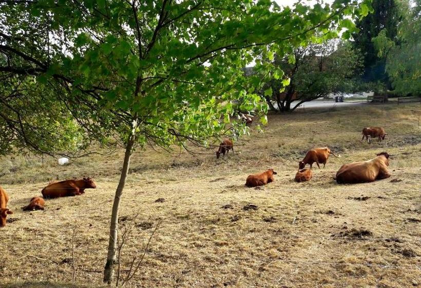 스탠다드 테라스 룸, Garni Am Hochwald