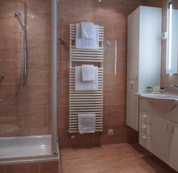 Полулюкс, Grand Hôtel Des Rasses & Wellness