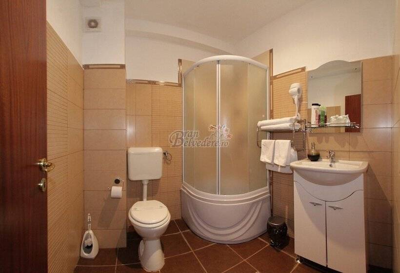 اتاق عادی, Bran Belvedere International