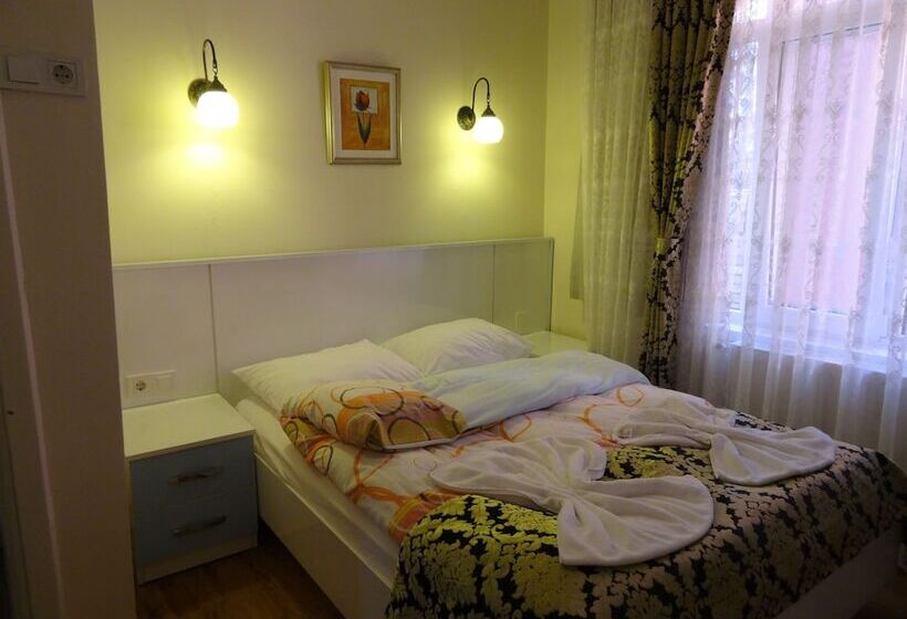 スタンダードシングルルーム, Tulip Guesthouse