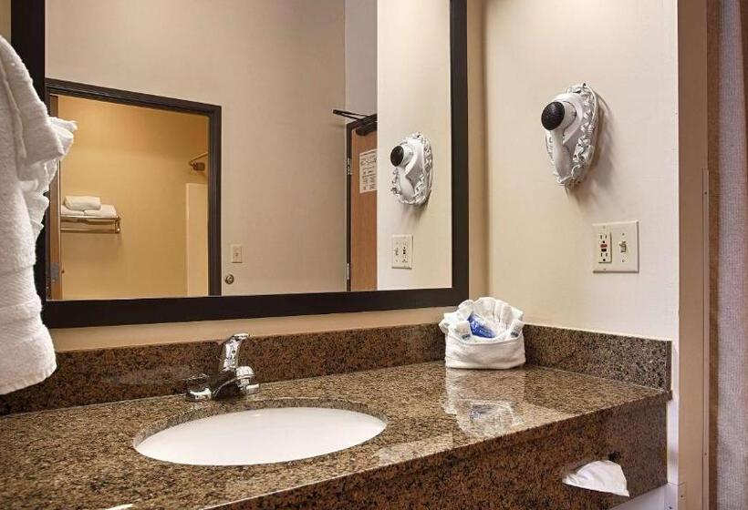 Номер Стандарт Кровать Кинг Адаптированный для Инвалидов, Best Western Plus Albert Lea I 90/i 35