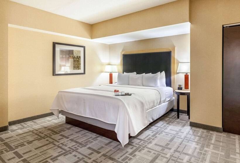Люкс, Cambria Hotel Pittsburgh   Downtown