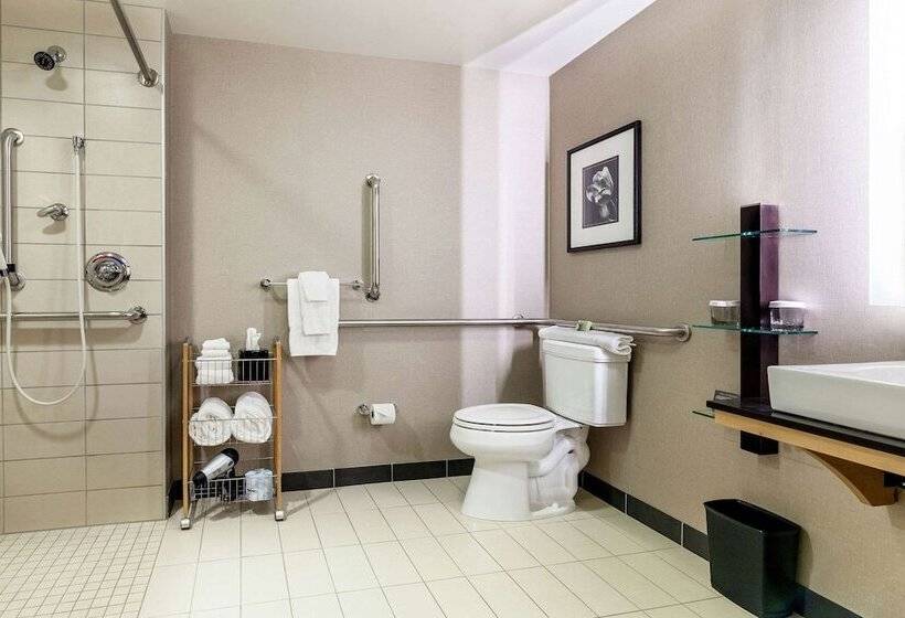Люкс Адаптированный для Инвалидов, Cambria Hotel Pittsburgh   Downtown