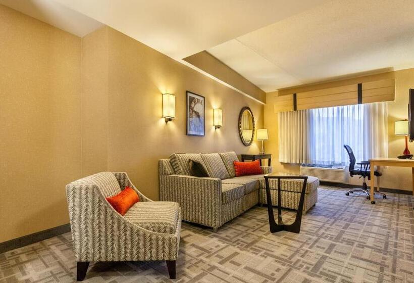 Süit, Cambria Hotel Pittsburgh   Downtown