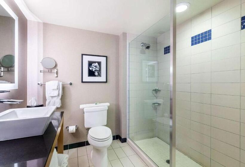 Büyük Çift Kişilik Yataklı Standart Oda, Cambria Hotel Pittsburgh   Downtown