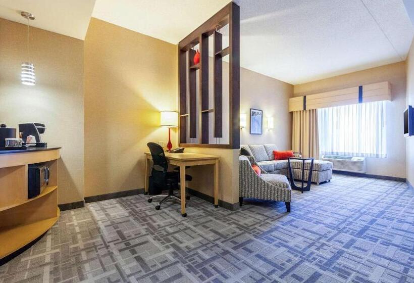 Стандартный Номер Кровать Кинг, Cambria Hotel Pittsburgh   Downtown