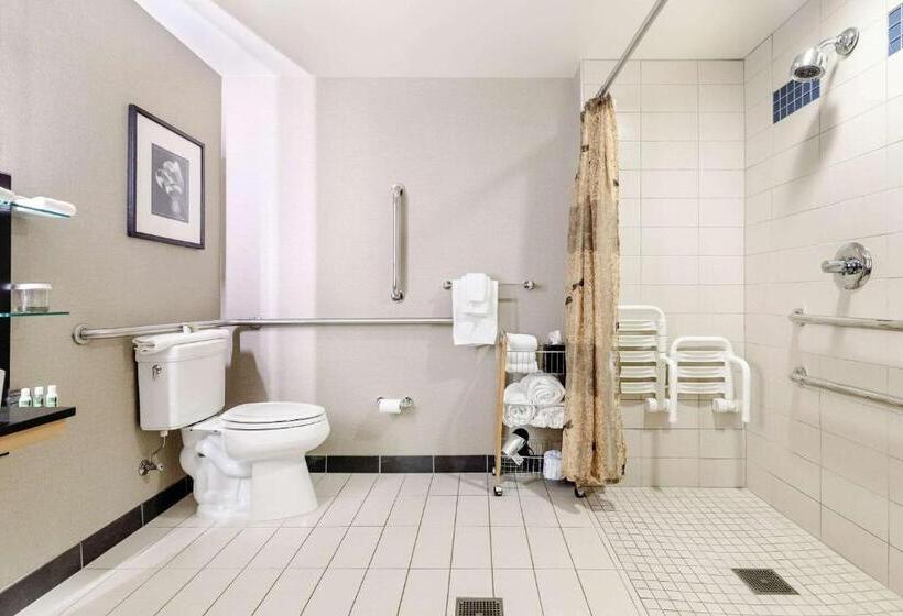 Номер Стандарт Адаптированный для Инвалидов, Cambria Hotel Pittsburgh   Downtown