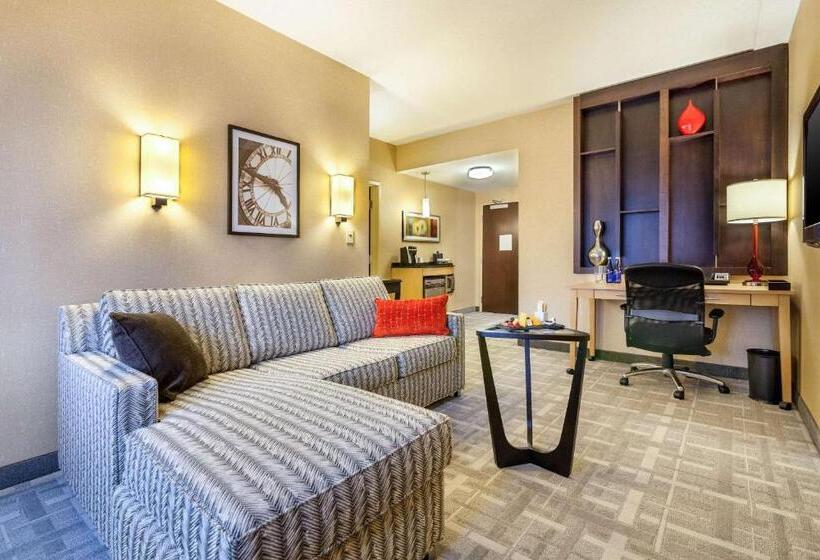 Люкс Адаптированный для Инвалидов, Cambria Hotel Pittsburgh   Downtown