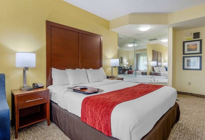 장애인을 위한 스위트, Comfort Inn & Suites Hillsville I77