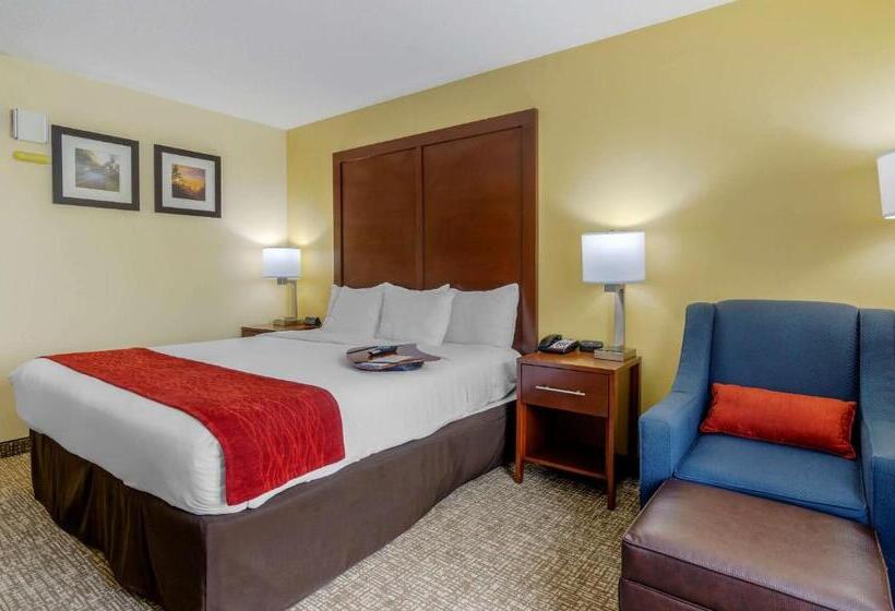 스탠다드 룸 킹사이즈 침대, Comfort Inn & Suites Hillsville I77
