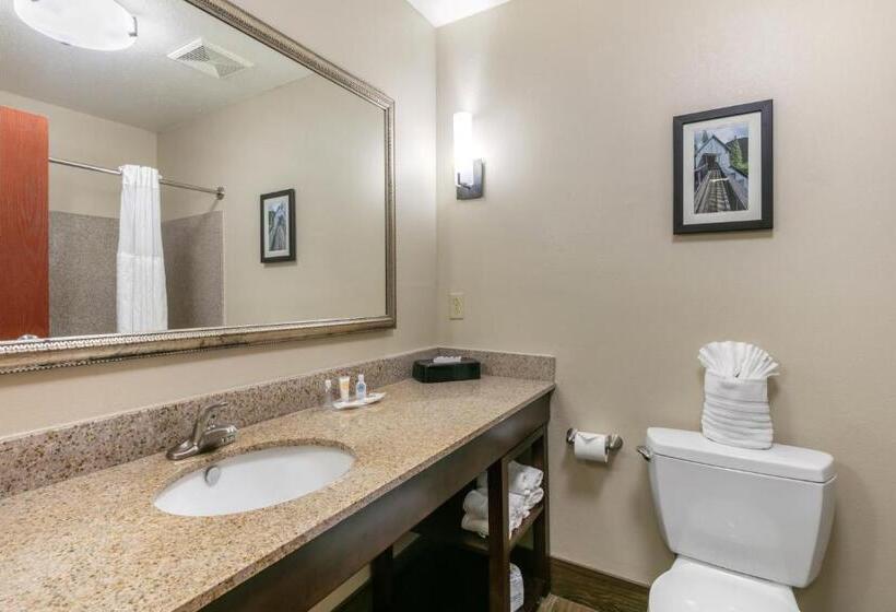 סוויטה, Comfort Suites Hopkinsville Near Fort Campbell