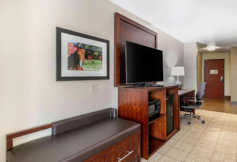 סוויטת אקזקיוטיב, עם מיטת קינג, Comfort Suites Hopkinsville Near Fort Campbell