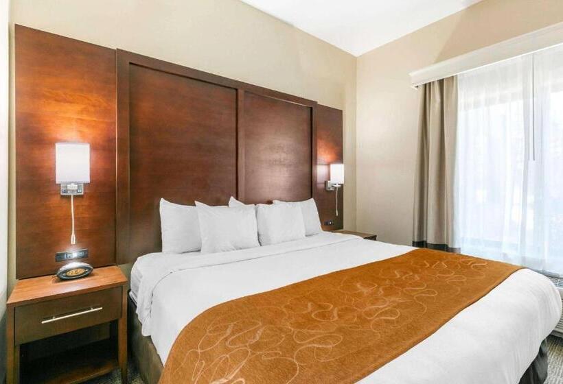 סוויטת סופריור, Comfort Suites Hopkinsville Near Fort Campbell