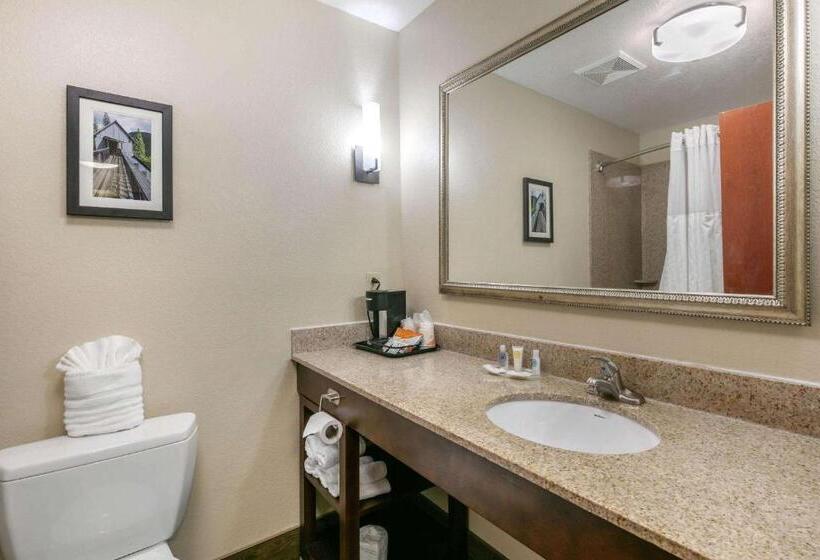 סוויטה מותאמת לאדם עם מוגבלויות, Comfort Suites Hopkinsville Near Fort Campbell