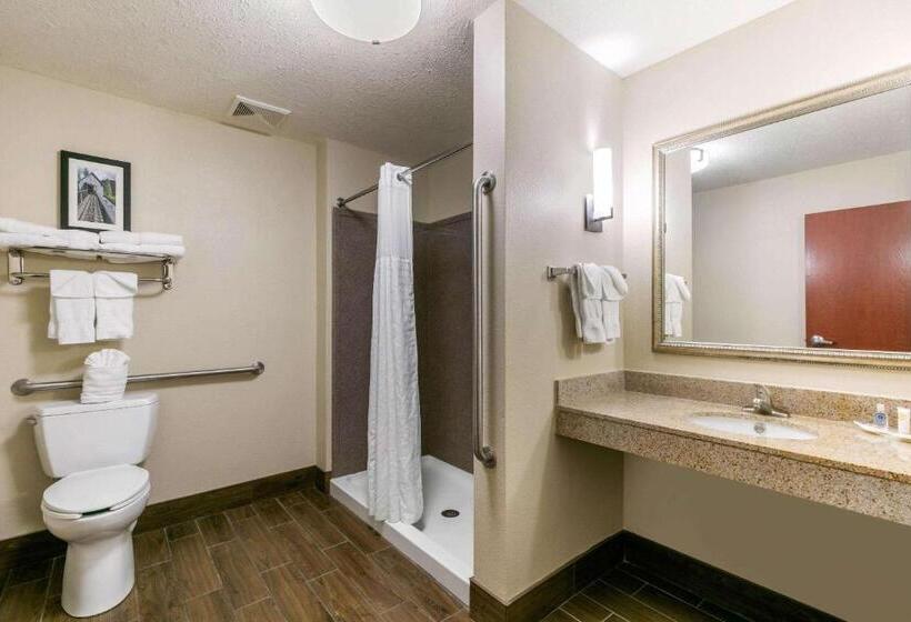 סוויטה מותאמת לאדם עם מוגבלויות, Comfort Suites Hopkinsville Near Fort Campbell