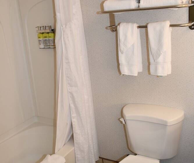 Люкс, Holiday Inn Express Hotel & Suites Evanston, An Ihg
