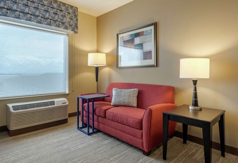 Standard Studio, Hampton Inn Alamosa, Co