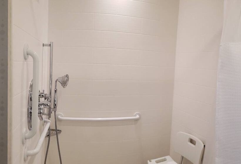 Люкс, Springhill Suites By Marriott Grand Junction Downtown/historic Main Street