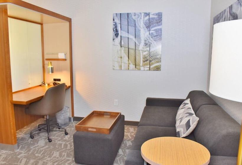 Люкс, Springhill Suites By Marriott Grand Junction Downtown/historic Main Street
