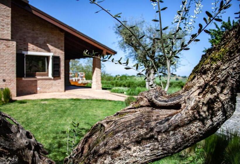 Номер Superior, Resort Villa Paola