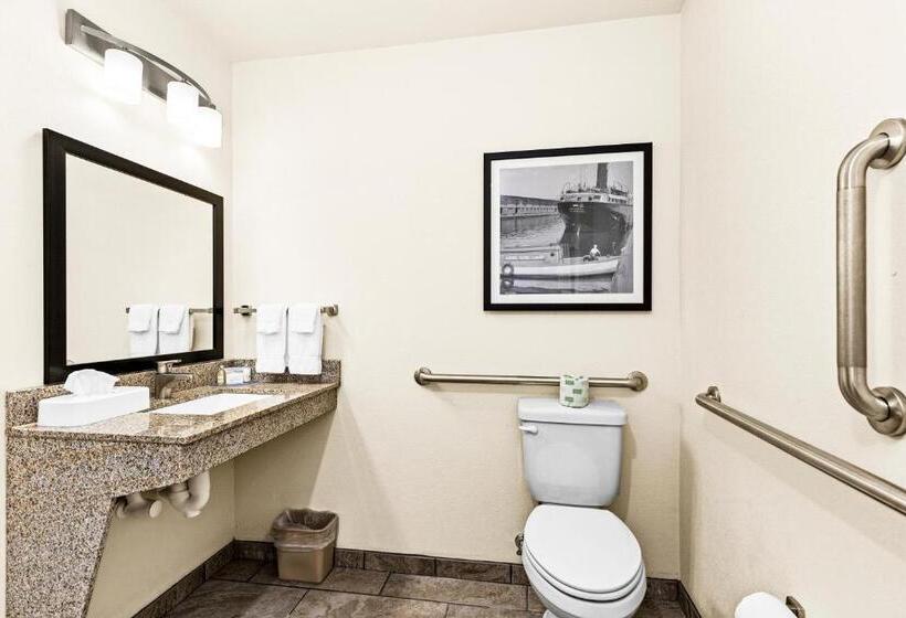 Студия Стандарт, Cobblestone Hotel & Suites International Falls