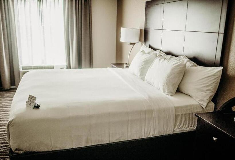 חדר סטנדרט עם מיטת קינג, Cobblestone Hotel & Suites International Falls