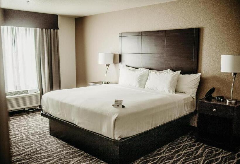 스탠다드 스튜디오 킹침대, Cobblestone Hotel & Suites International Falls