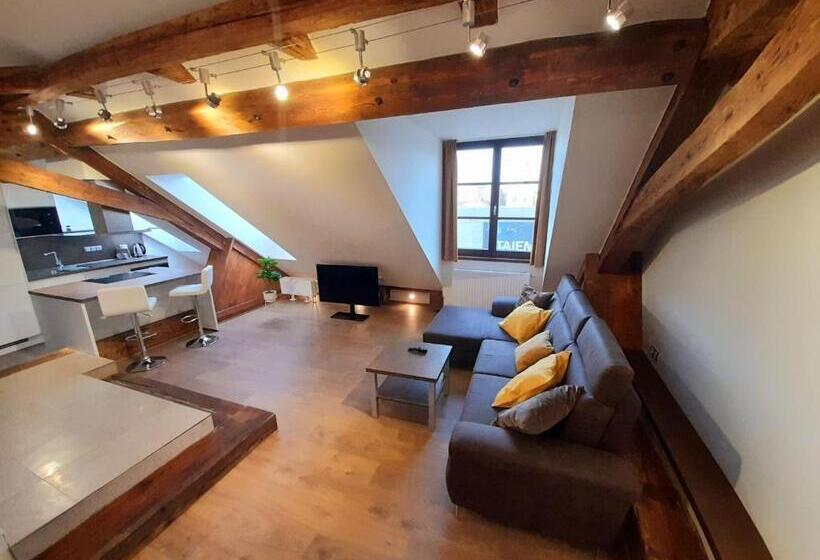 침실 1개 디럭스 아파트, Residence Mariánská