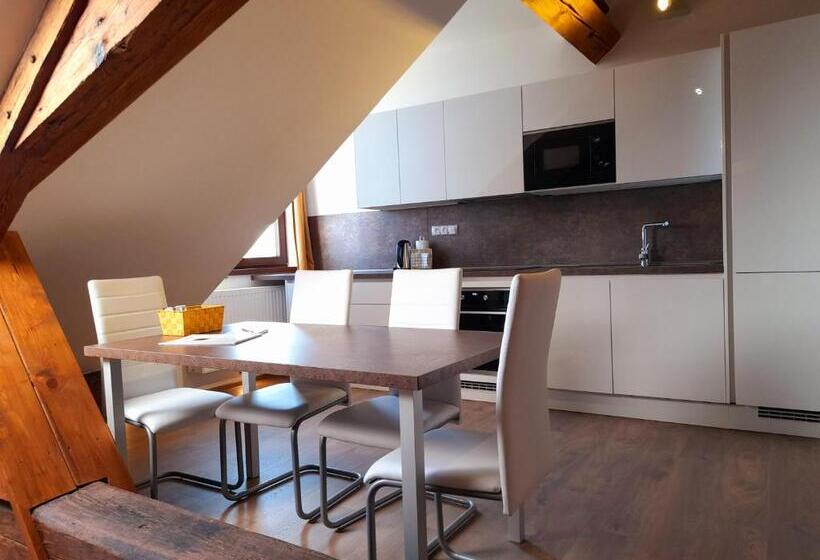 침실 1개 수피리어 아파트, Residence Mariánská