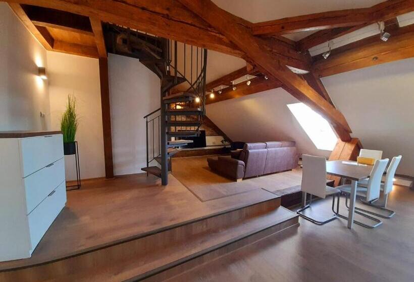 침실 1개 수피리어 아파트, Residence Mariánská