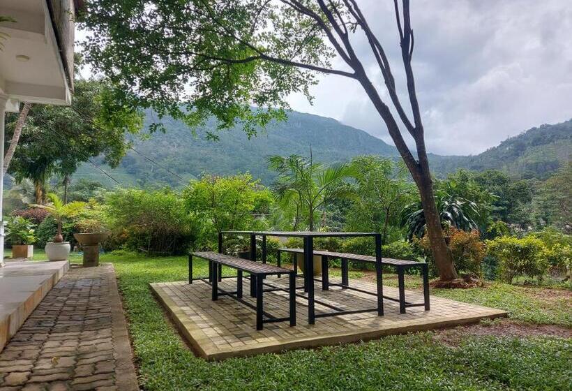 Номер Стандарт, Sanctuary