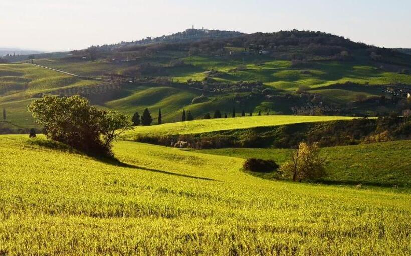 Апартаменты 1 Спальня с Террасой, Agriturismo Barbi