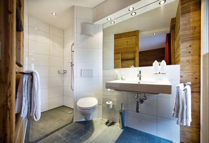 Номер Комфорт, Arosa Vetter
