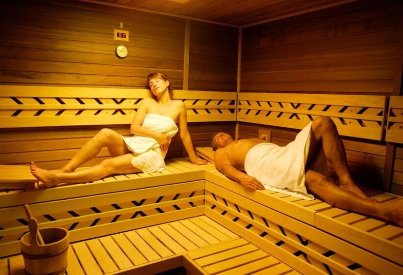 豪华单人间, Spa Hotel Schlosspark