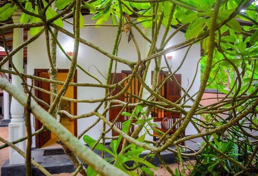 Номер Стандарт Вид на Море с Балконом, Shehani Beach Bungalow