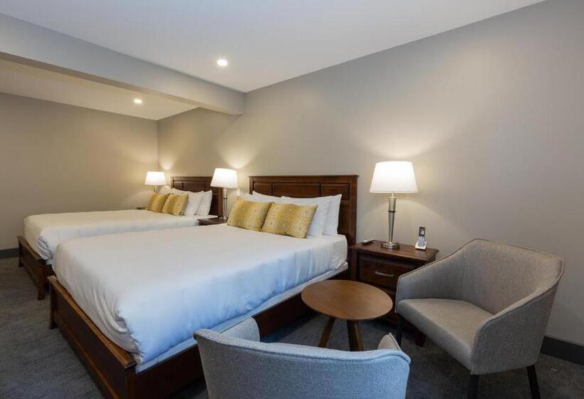 Номер Стандарт 2 Двуспальные Кровати, Motel Au Vieux Piloteux