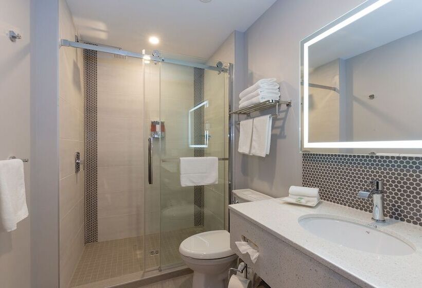 Номер Стандарт 2 Двуспальные Кровати, Motel Au Vieux Piloteux