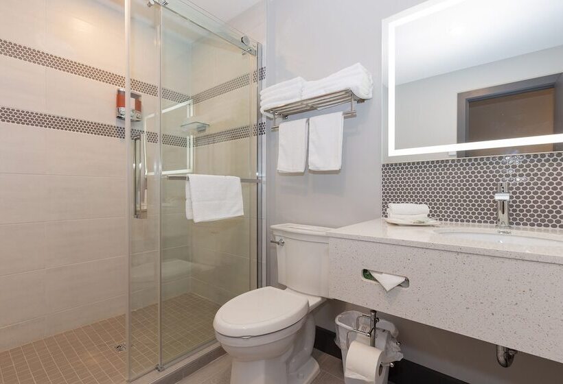 Номер Стандарт 2 Двуспальные Кровати, Motel Au Vieux Piloteux