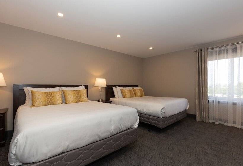 Номер Стандарт 2 Двуспальные Кровати, Motel Au Vieux Piloteux