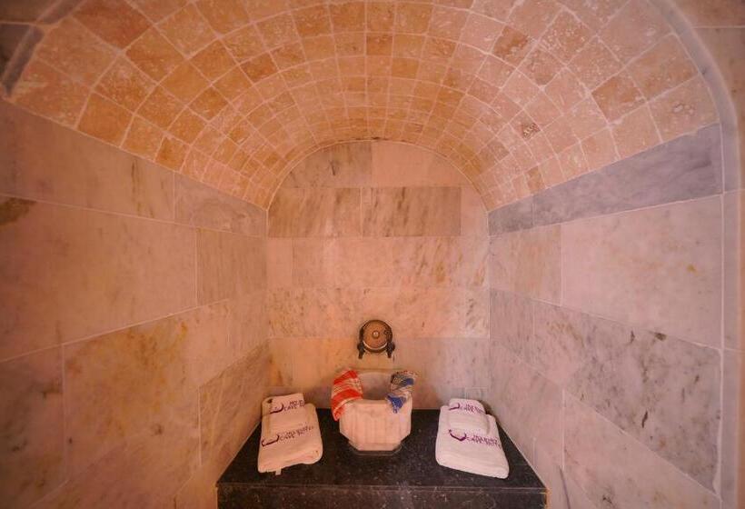 Полулюкс, Holiday Cave