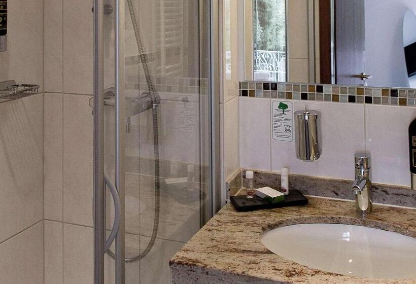 اتاق استاندارد سه نفره, Arthotel Ana Gold