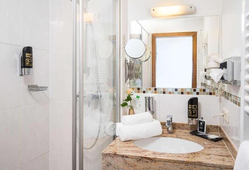 اتاق استاندارد, Arthotel Ana Gold