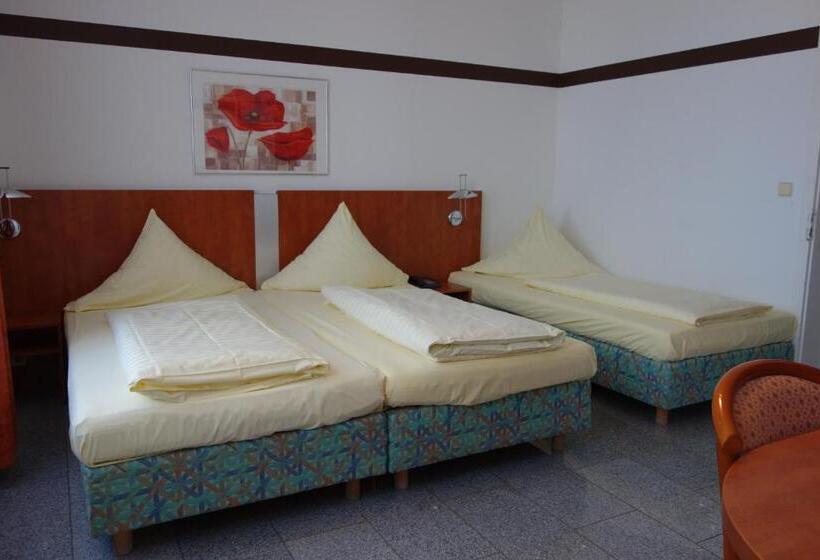 اتاق استاندارد سه نفره, Parkhotel Friedrichstrasse