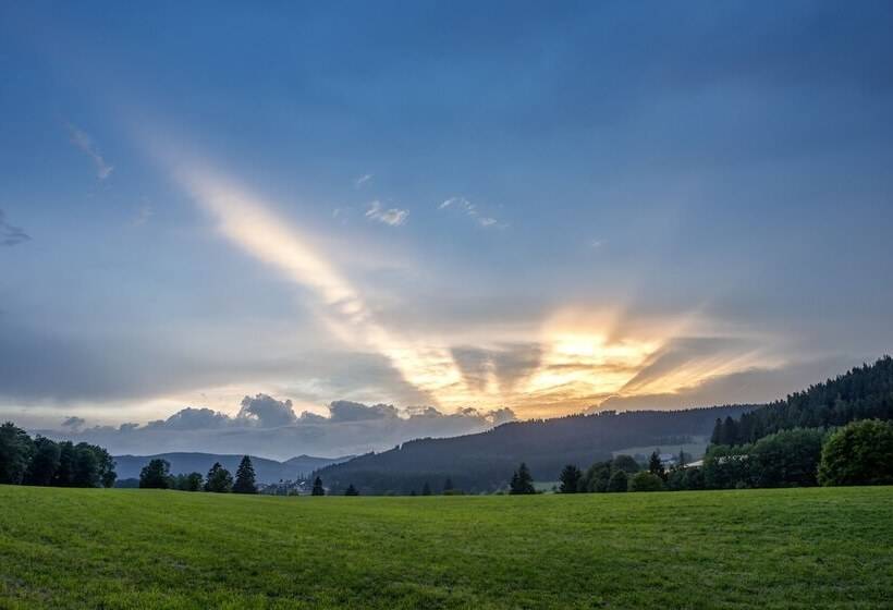 Номер Комфорт, Vier Jahreszeiten Am Schluchsee