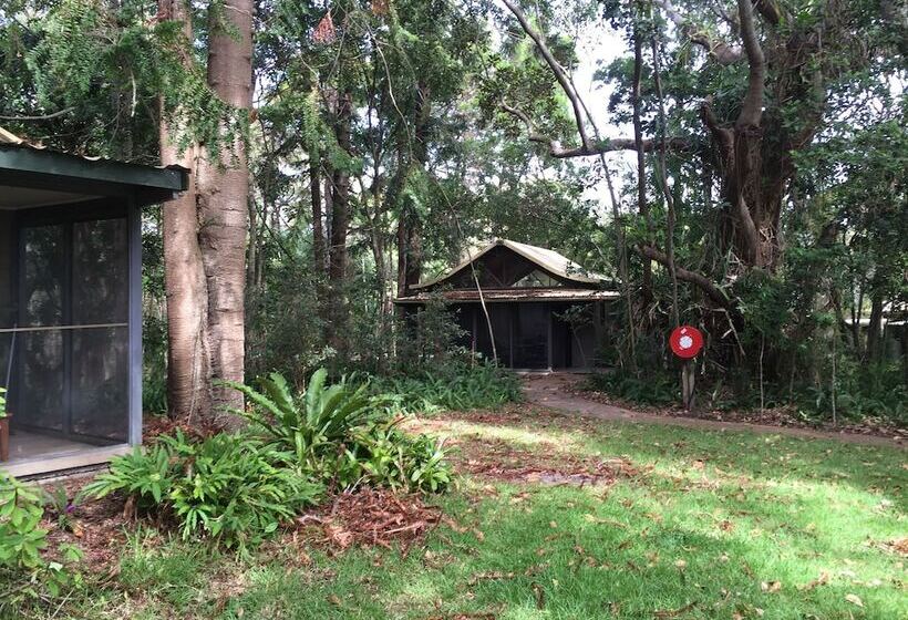 Хижина, Byron Bay Rainforest Resort